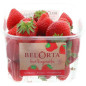 FRAISE HOOGSTRATEN A NUE 8X500G